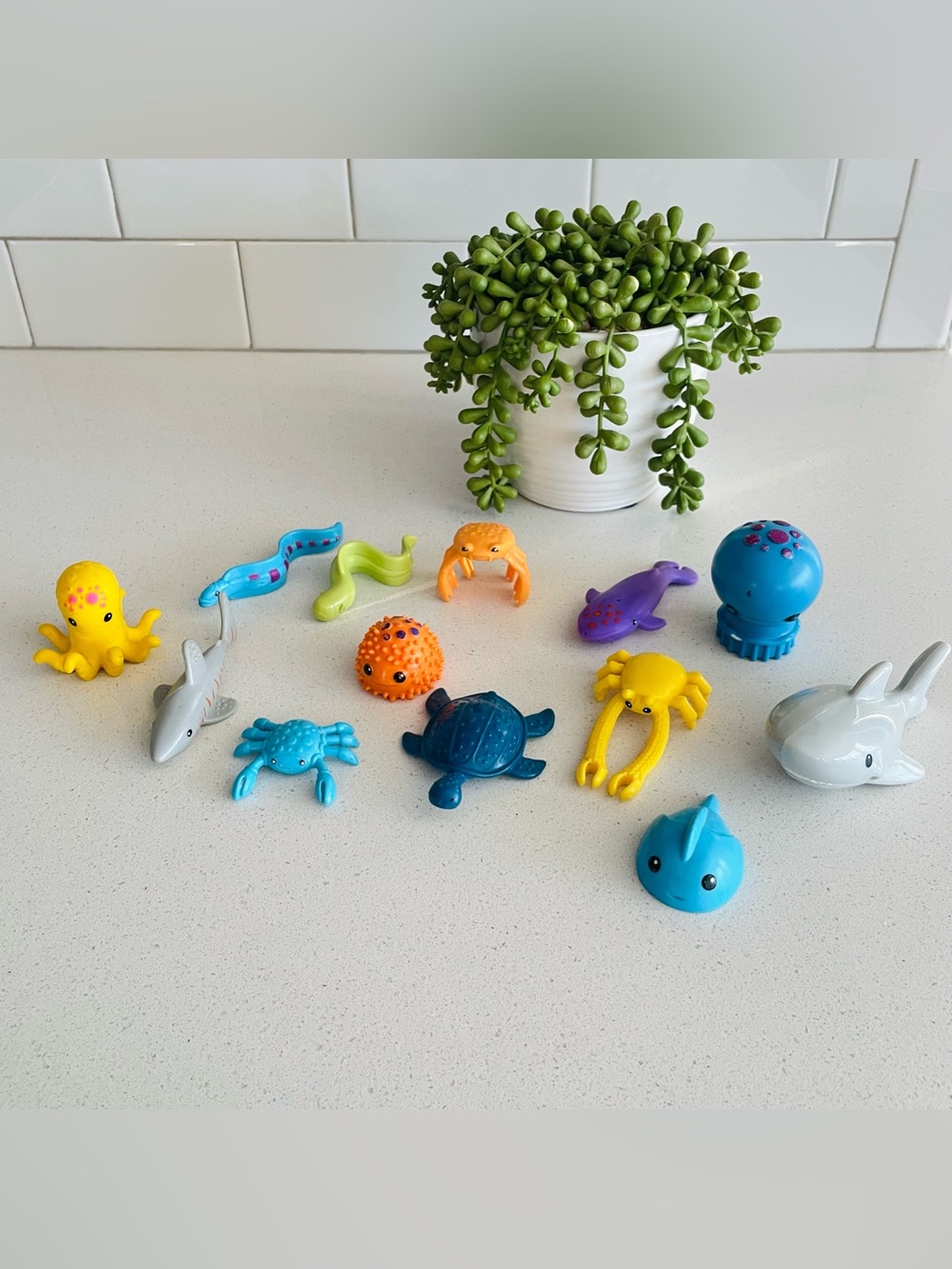Octonauts Bundle - Picture 10 of 11